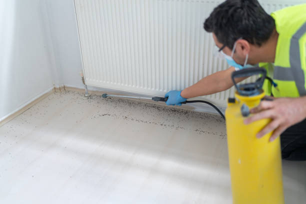 Best Local Pest Control Services  in Pine Nyon, CA