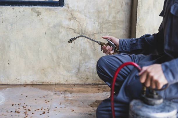 Best Best Pest Control Companies  in Pine Nyon, CA